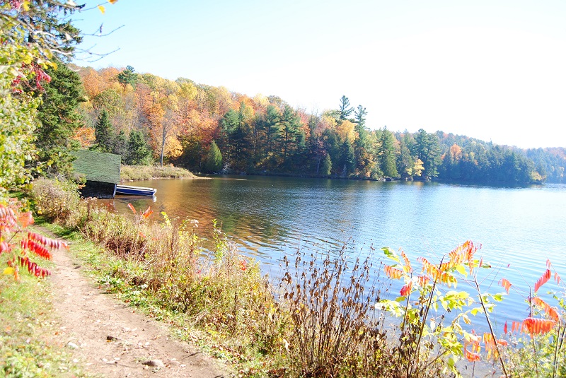 DSC_0128.JPG