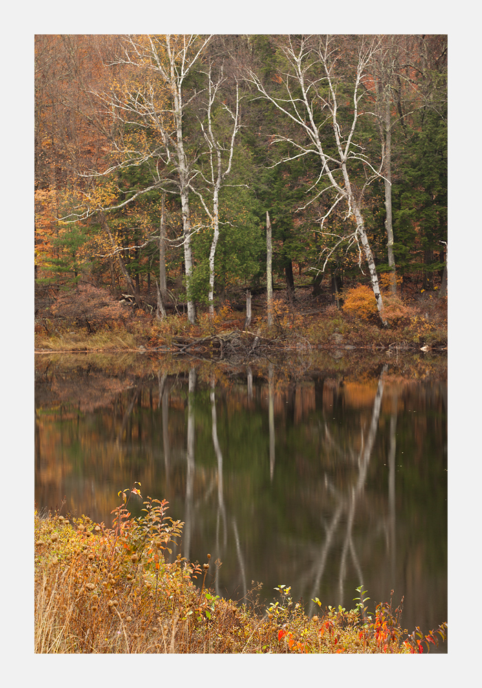 IMG_8944-Edit.jpg