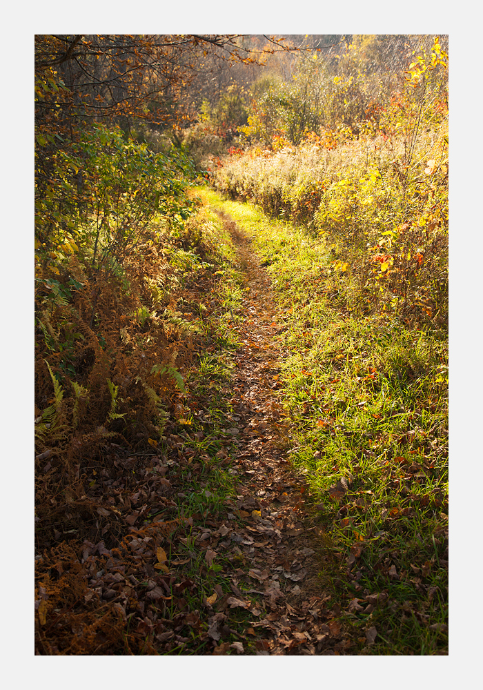 IMG_8802-Edit.jpg