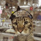 th_tumblr_mesxdmwVb31qj6p4g_zps03c9a798.gif