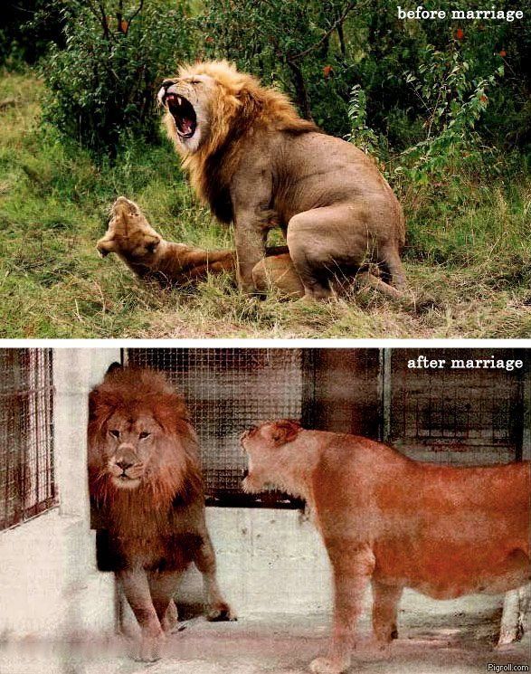 before_and_after_marriage.jpg