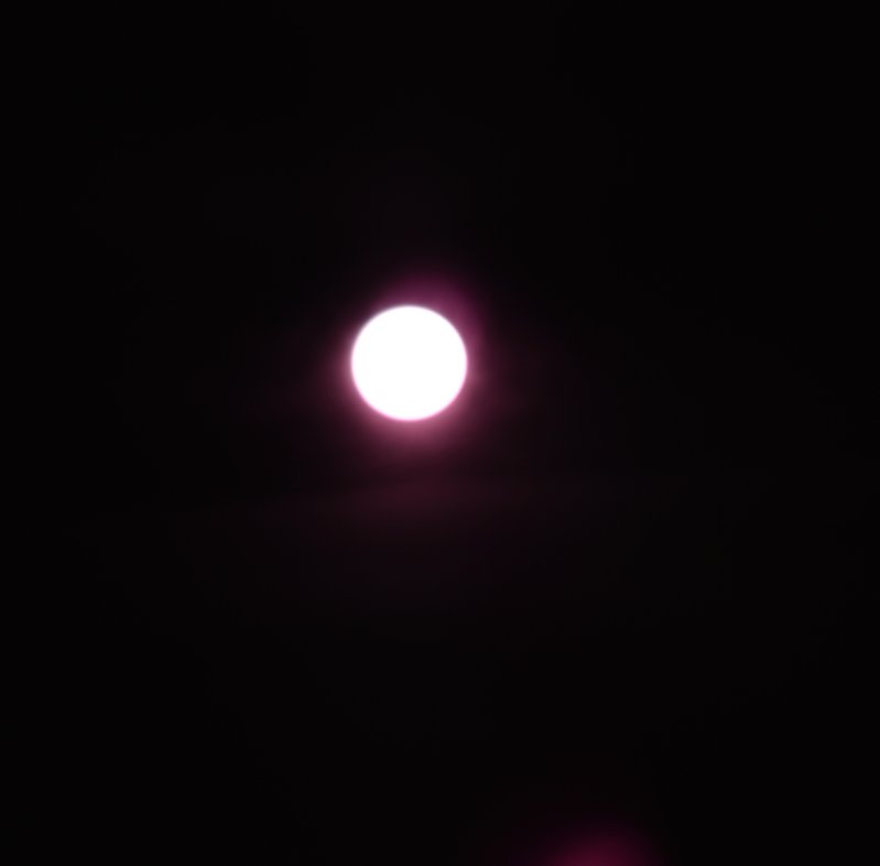 DSC_2924.JPG