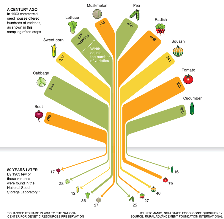 food-variety-tree-754.gif