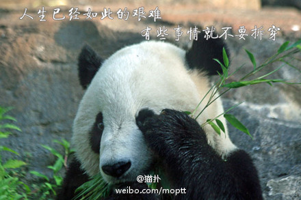 62f87eb4jw1eaakbkl16sj20c8085myu.jpg