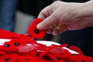 poppies.jpg