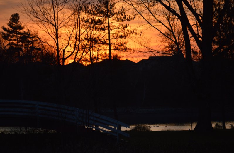 DSC_3818.JPG