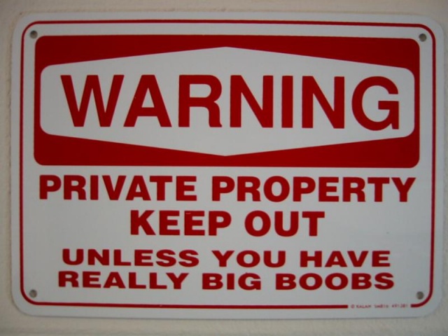 640x480_funny-057.jpg