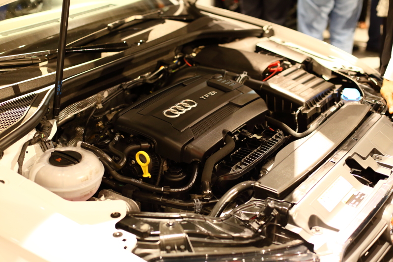 s_1009.JPG