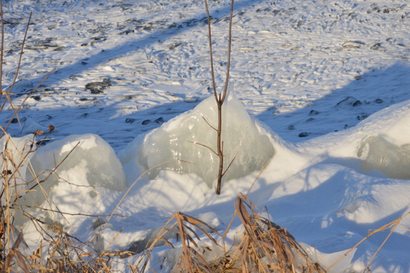 DSC_5641.JPG