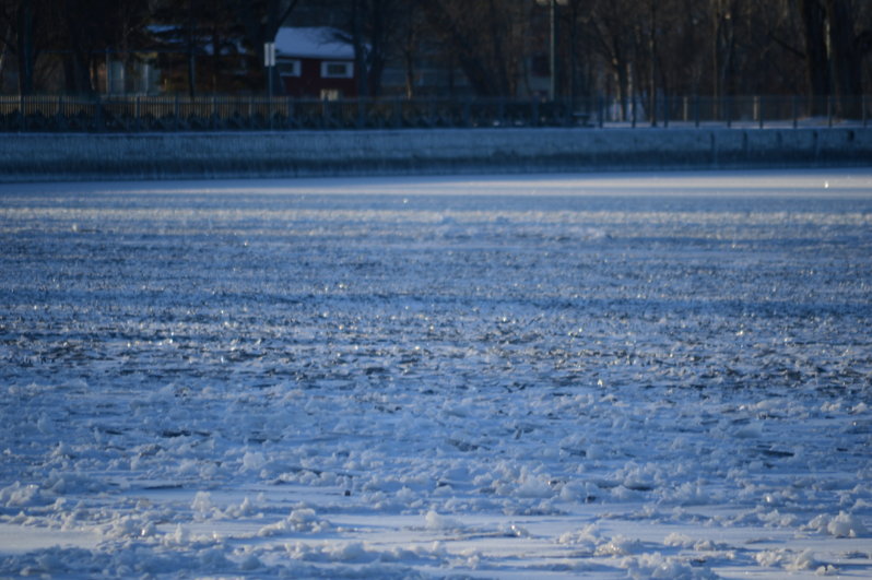 DSC_5622.JPG