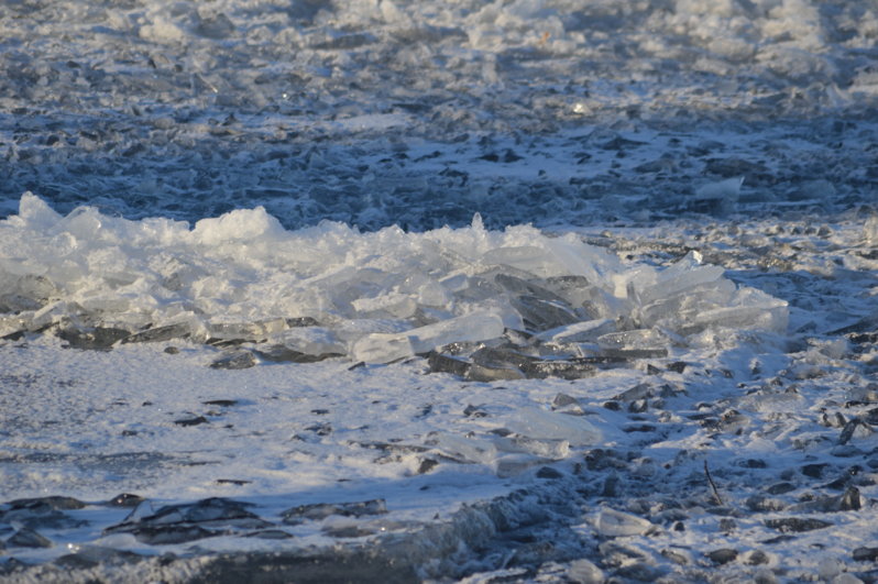 DSC_5642.JPG