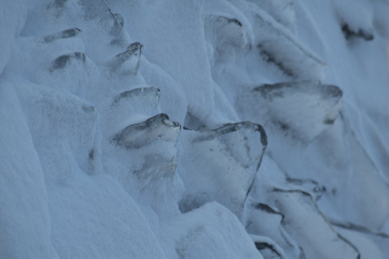 DSC_5644.JPG