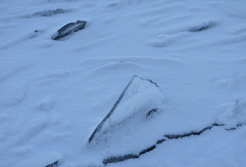 DSC_5640.JPG