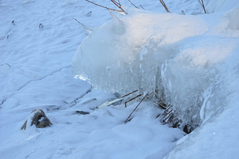 DSC_5633.JPG