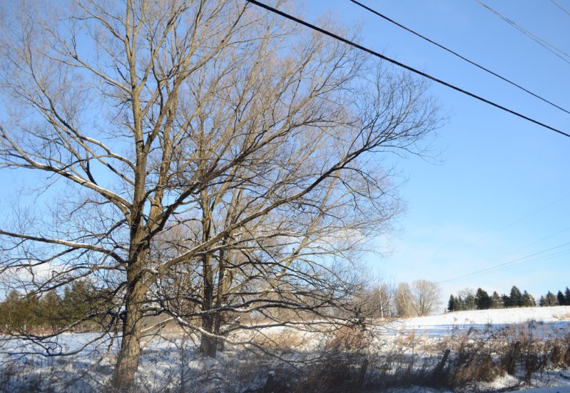 DSC_5709.JPG