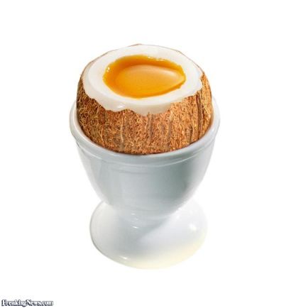 Coconut-Egg--38316.jpg