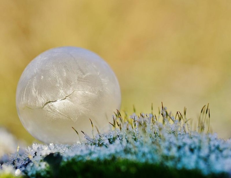 frozen-bubbles-angela-kelly-4.jpg