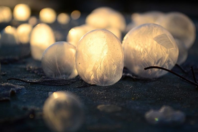frozen-bubbles-angela-kelly-8.jpg