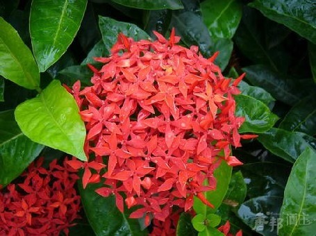 ImageUploadedByCFC 21390229740.830443.jpg