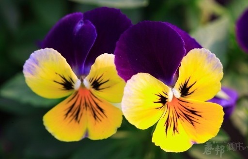 ImageUploadedByCFC 21390229779.353453.jpg