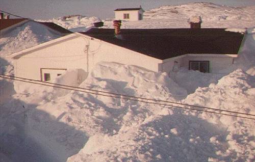 storm95_2_500.jpg