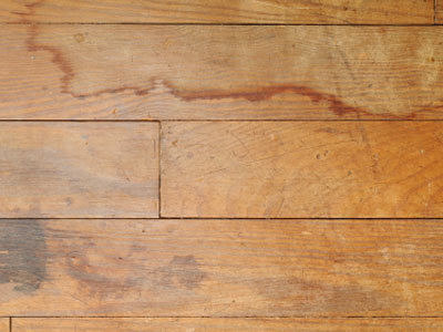 understanding-different-hardwood-floor-problems.jpg