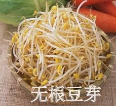 ImageUploadedByCFC 21393857309.468348.jpg