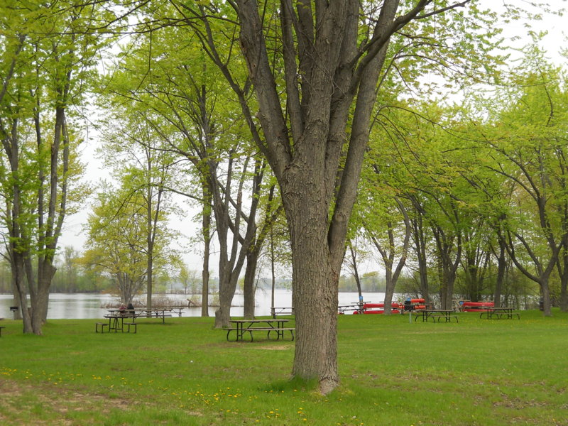 May 032.JPG