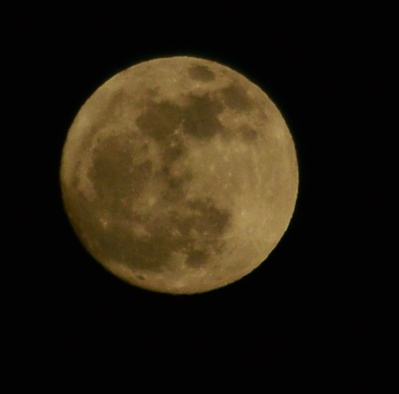 DSC_9502.JPG