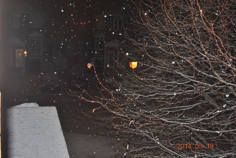 DSC_0252.JPG