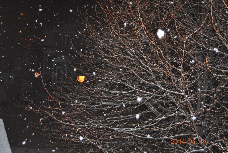 DSC_0257.JPG