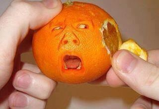 ImageUploadedByCFC 21395801829.352281.jpg