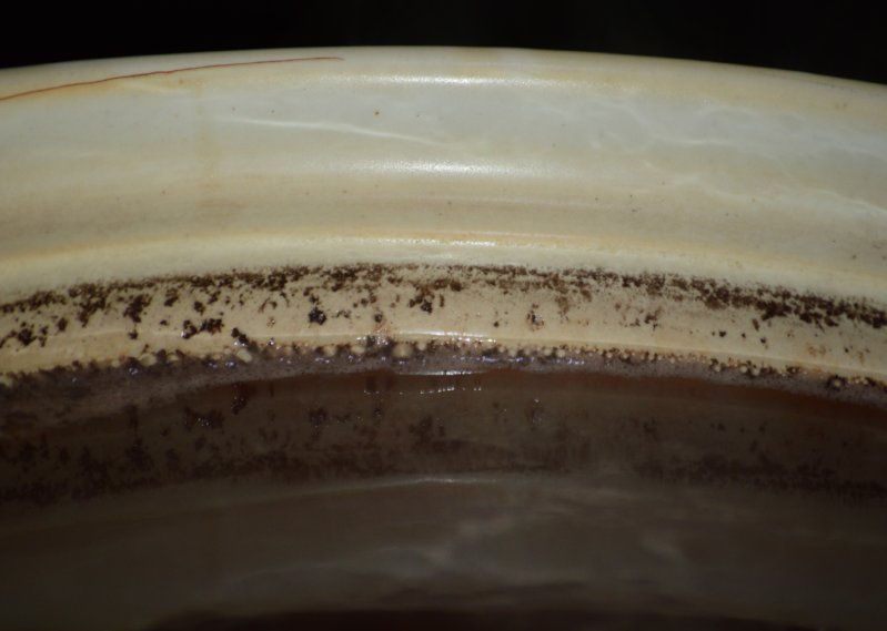 DSC_9739.JPG