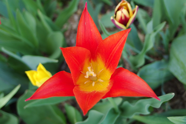 IMGP0278.jpg