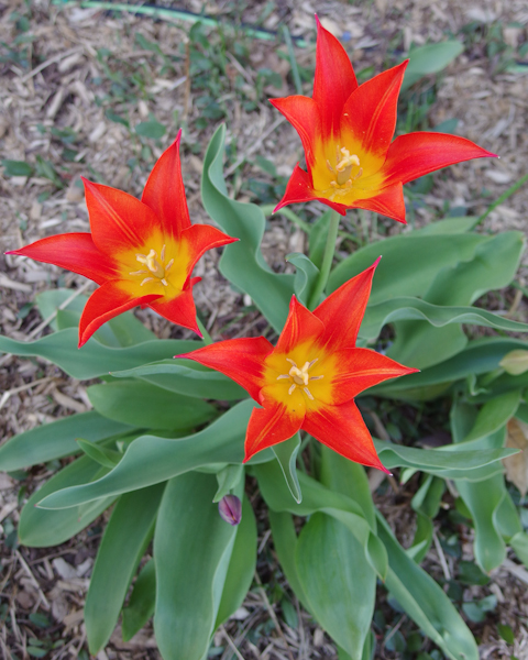 IMGP0290.jpg