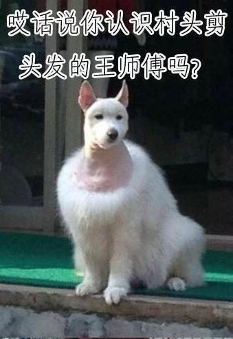 QQ截图20140512225255.png