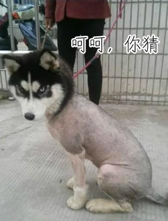 QQ截图20140512225308.png