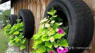 ImageUploadedByCFC 21401880553.037675.jpg