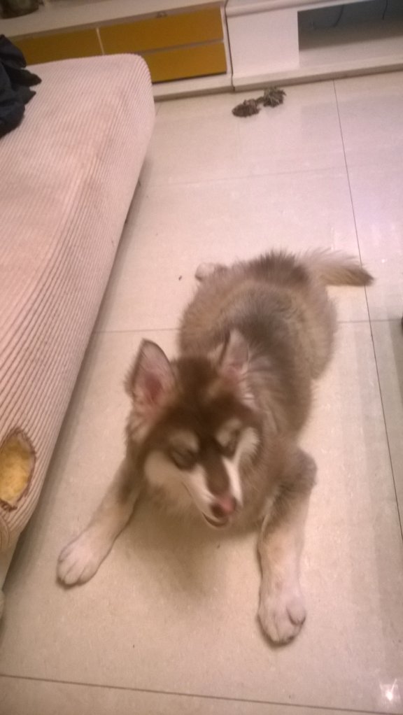 WP_20140527_004.jpg