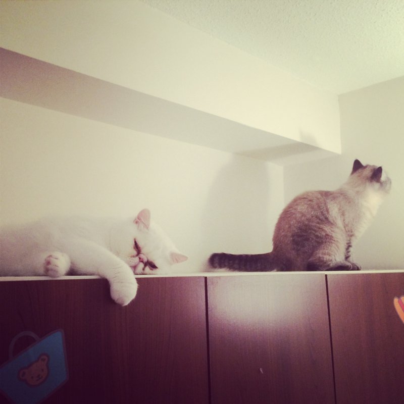 photo 13.JPG