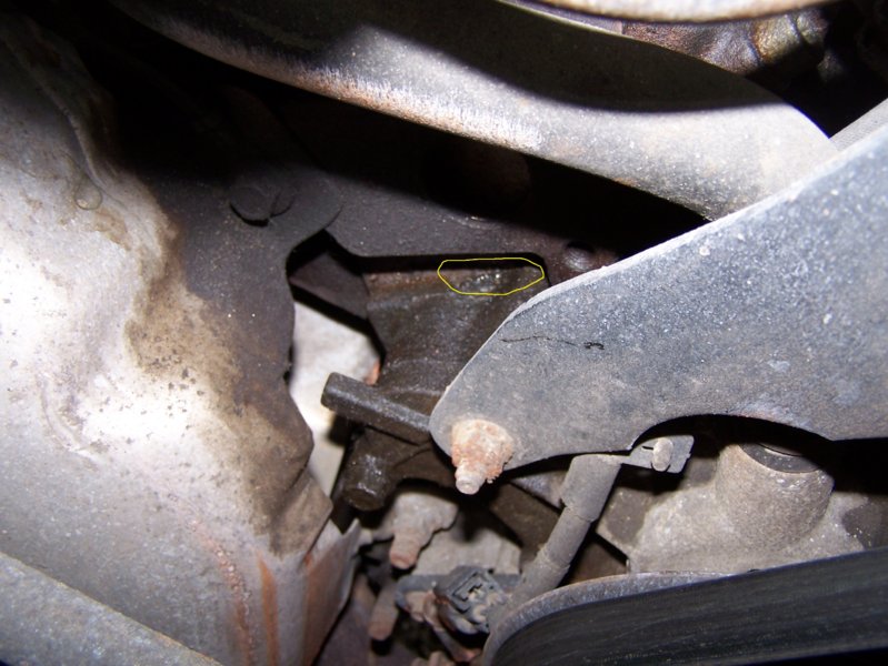 coolant leaking.jpg