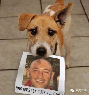 ImageUploadedByCFC 21403526838.635077.jpg