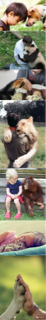 ImageUploadedByCFC 21403528574.265657.jpg