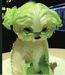 e.jpg