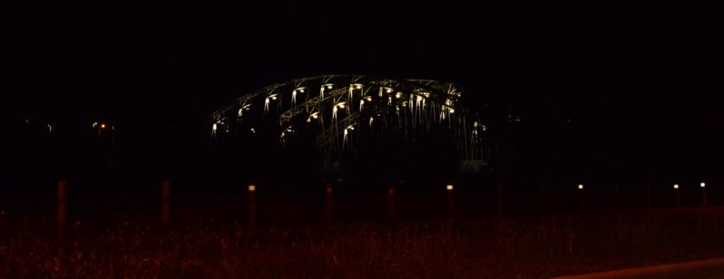 DSC_6082.JPG