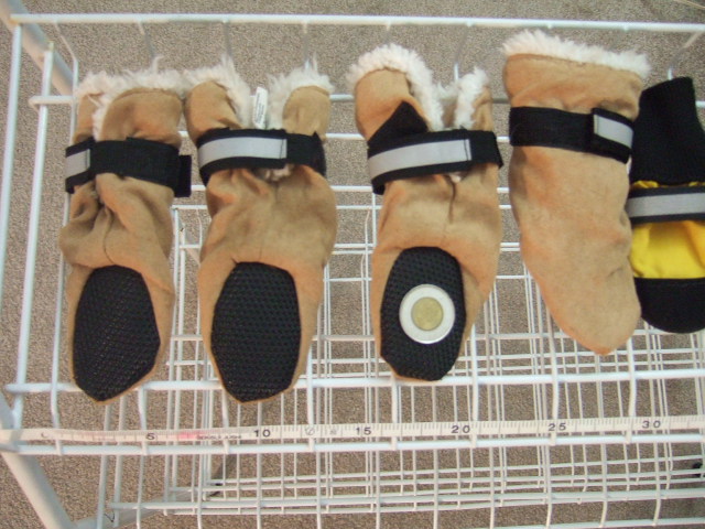 DSCF4519.JPG