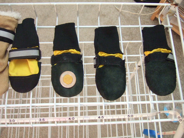 DSCF4521.JPG