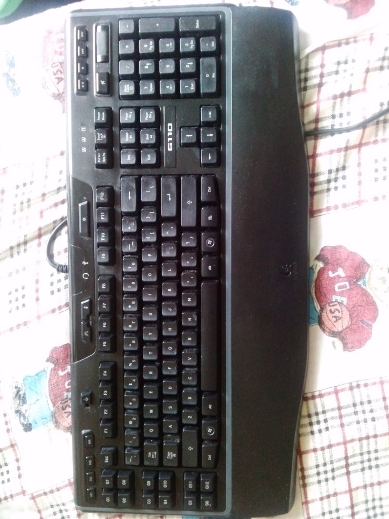 CAM00266.jpg