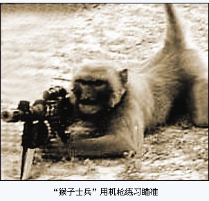 e.jpg
