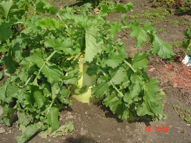 DSC05507.JPG
